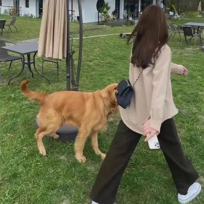 消失的子弹